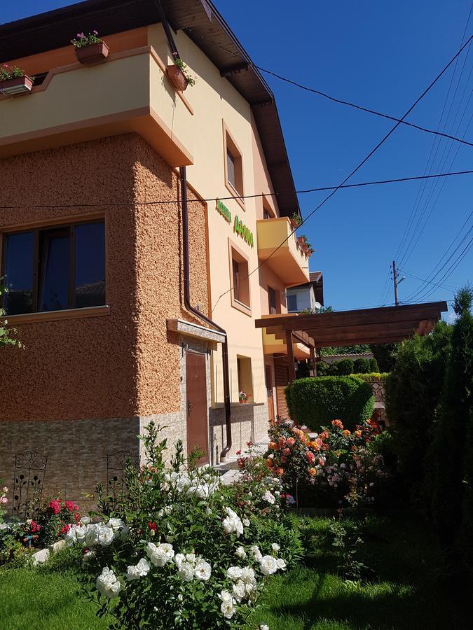 Family Hotel Dalia Velingrad Exteriér fotografie